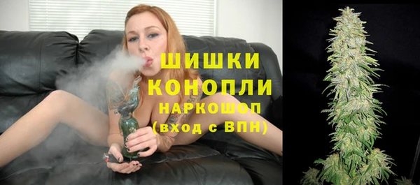 амф Аркадак