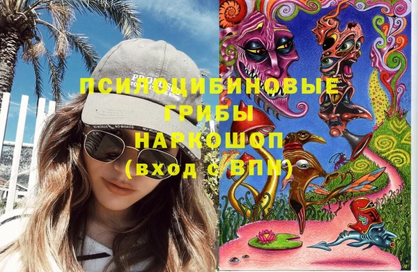 амф Аркадак
