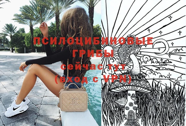 дмт Алексин