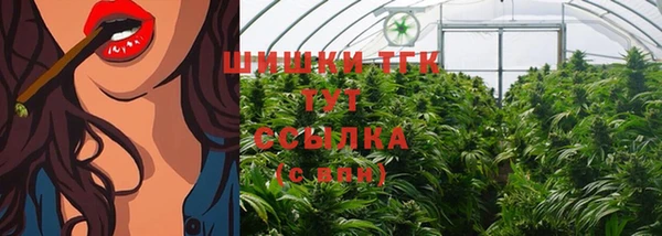 дмт Алексин