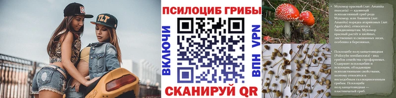 Галлюциногенные грибы Magic Shrooms  Купить  Уварово 